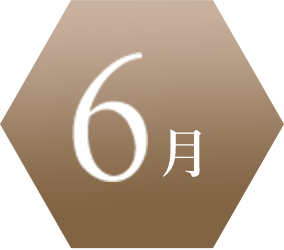 6月